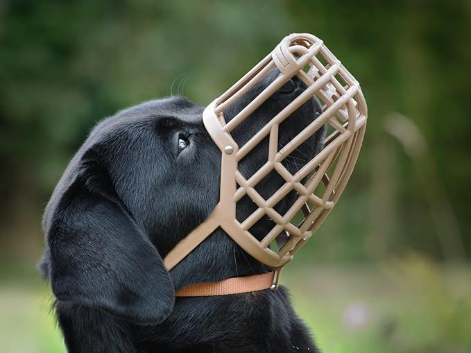 Leather Brothers Italian Basket Dog Muzzle, Adjustable Secure Fit, Comfortable Design, Training and Safety, Averts Biting, Prevents Chewing and Scavenging, Perfect for Grooming - Tan, Size 10