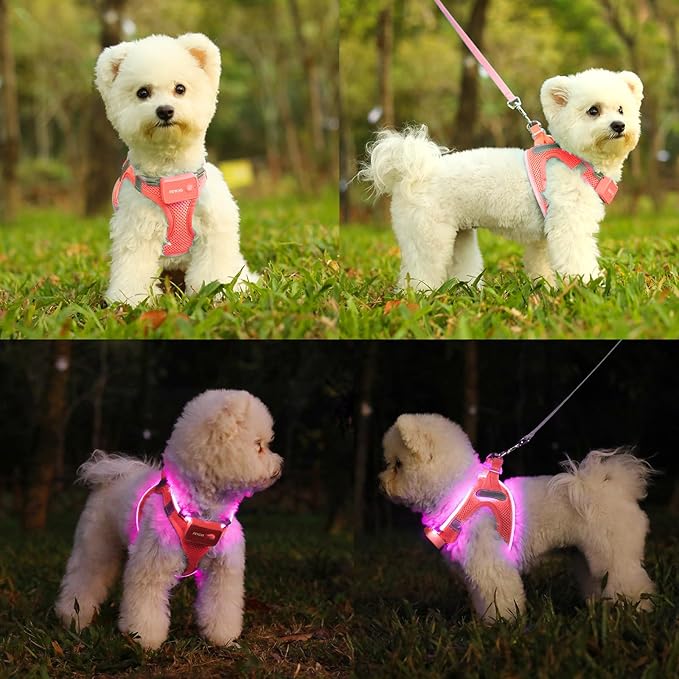 Light Up Dog Harness,Rechargeable LED Dog Harness for Small Medium Large Dogs,Reflective Lighted Safety Vest for Night Walking &amp; Camping,Lightweight &amp; Adjustable,Fluorescent Pink,XS