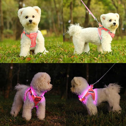Light Up Dog Harness,Rechargeable LED Dog Harness for Small Medium Large Dogs,Reflective Lighted Safety Vest for Night Walking &amp; Camping,Lightweight &amp; Adjustable,Fluorescent Pink,XS
