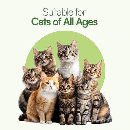 3 Pcs Catnip Balls with Feathers – Natural Catnip Toy for Play, Stress Relief &amp; Healthy Enrichment Interactive Cat Toys Perfect for Indoor Cats &amp; Kittens, Encourages Active Play &amp; Wellness