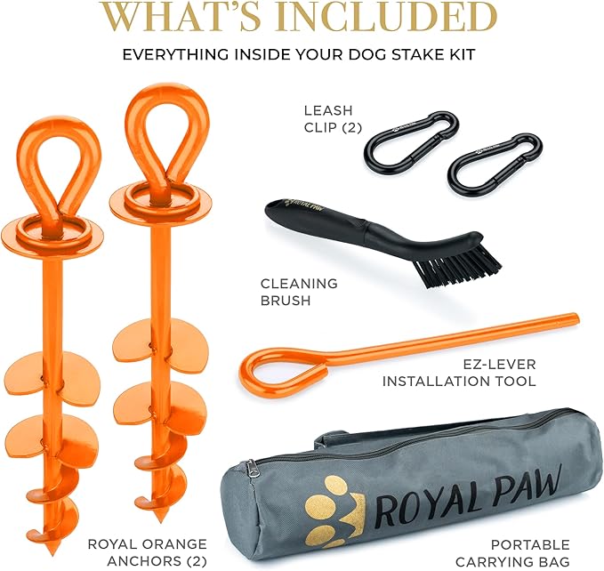 ROYAL-PAW Dog Tie Out Stake - for Large Dogs up to 210 lbs - Heavy Duty Dog Stake for Yard, Beach &amp; Camping Outside - Best in Ground Anchor for a Dog Cable, Leash, Lead Tether (1, Orange)