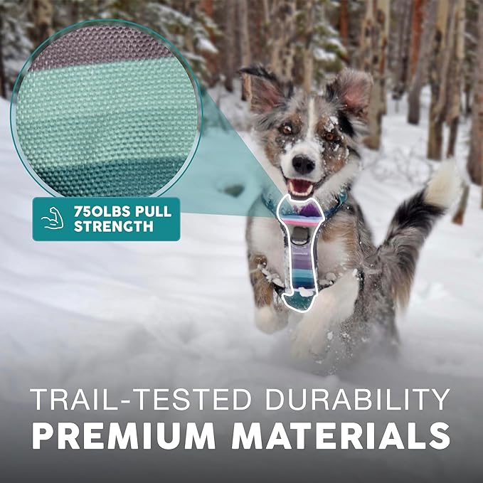 Embark Adventure Dog Harness, Reflective Trim XL Dog Harness for Extra Large Dogs No Pull - Military Grade Nylon, 2 Leash Clips &amp; Gel Lined Handle. Soft &amp; Padded Puppy Dog Harnesses for Any Breed