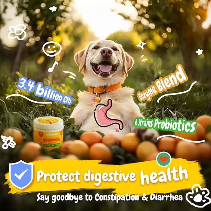 Penpen Probiotics for Dogs, Dogs Probiotics for Digestive Health, Multi-Probiotic and Enzyme Blend Promote Gut Health &amp; Immune Support, Eases Sensitive Stomachs (Beef Chews, 50ct)