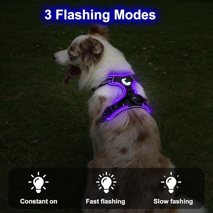 Taglory Light Up Dog Harness, Rechargeable No Pull Dog Vest with 3 Lightning Modes, Reflective Dog Harness with 2 Leash Clips &amp; 4 Adjustable Slide Strips for Large Dogs, Black-Purple, XL