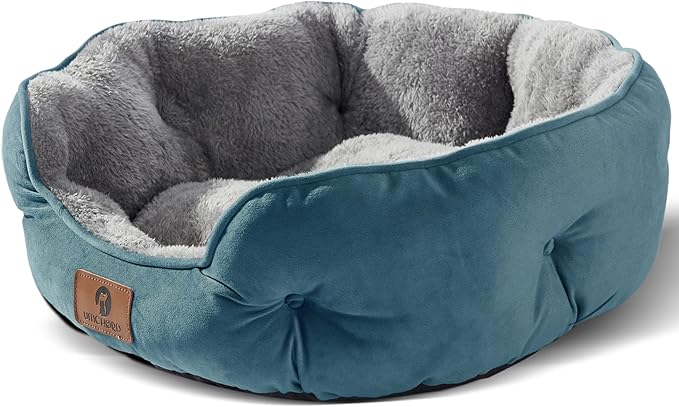 Asvin Small Dog Bed for Small Dogs, Cat Beds for Indoor Cats, Pet Bed for Puppy and Kitty, Extra Soft &amp; Machine Washable with Anti-Slip &amp; Water-Resistant Oxford Bottom, Teal, 20 inches