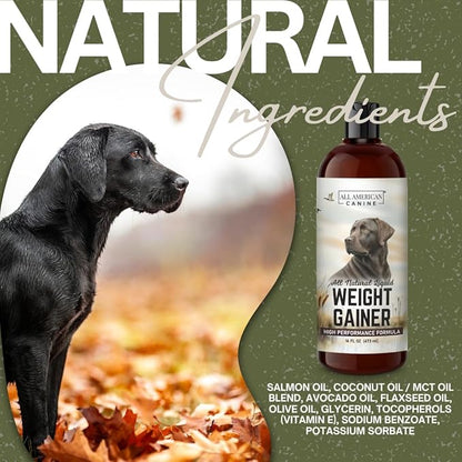 Dog Weight Gainer Liquid – High Calorie Dog Food Supplement for Rapid Weight Gain, Mass, and Recovery – Appetite Stimulant – 60 Servings