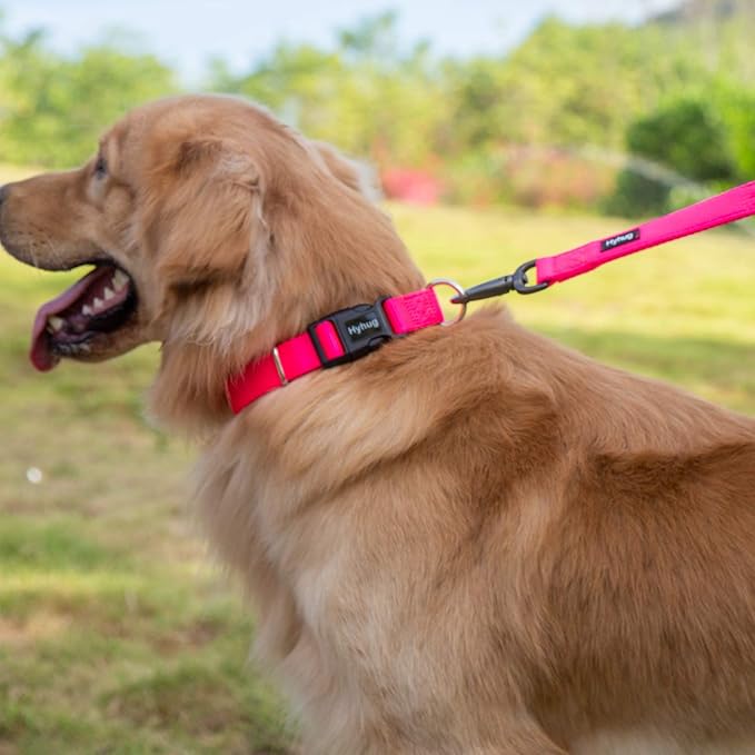 Hyhug Pets Classic Regular Heavy Duty Nylon Dog Collar with Easy to Put On &amp; Off Buckle. (Small, Hot Pink)