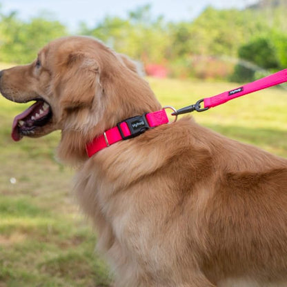 Hyhug Pets Classic Regular Heavy Duty Nylon Dog Collar with Easy to Put On &amp; Off Buckle. (Small, Hot Pink)
