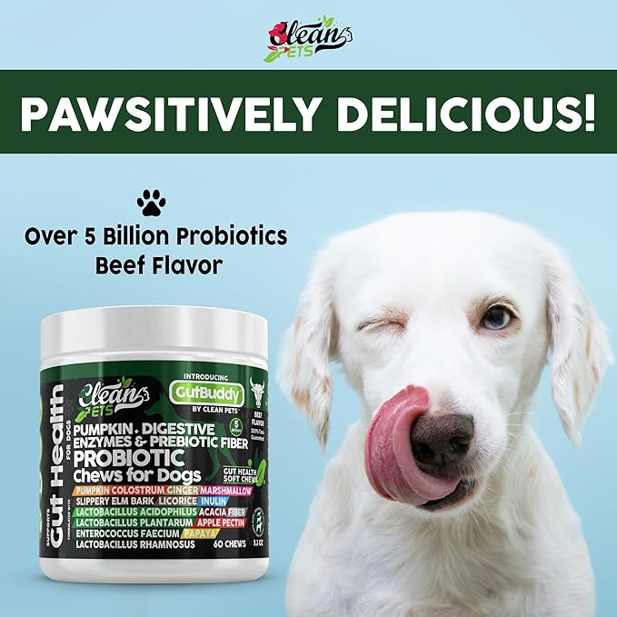 Probiotics for Dogs with Pumpkin, Colostrum, Digestive Enzymes, Ginger, Slippery Elm, Licorice, Inulin Fiber &amp; More | Beef Flavor Soft Chews for Gut Health and Digestion Dog Supplement