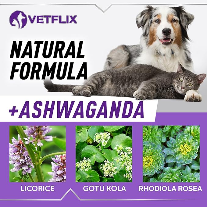 Pet Adrenal Support for Dogs &amp; Cats - Made in USA - Cushings Treatment for Dogs - Cat &amp; Dog Supplement for Kidney Support - 2 Fl Oz