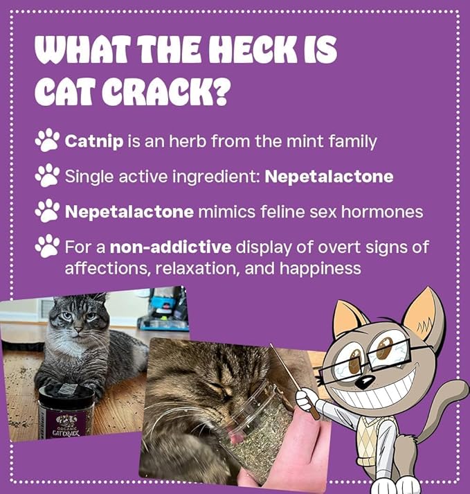 Cat Crack Organic Catnip, 100% Natural Cat Nips Organic Blend That Energizes and Excites Cats, Used for Cat Play, Training, &amp; New Catnip Toys (1 Cup)