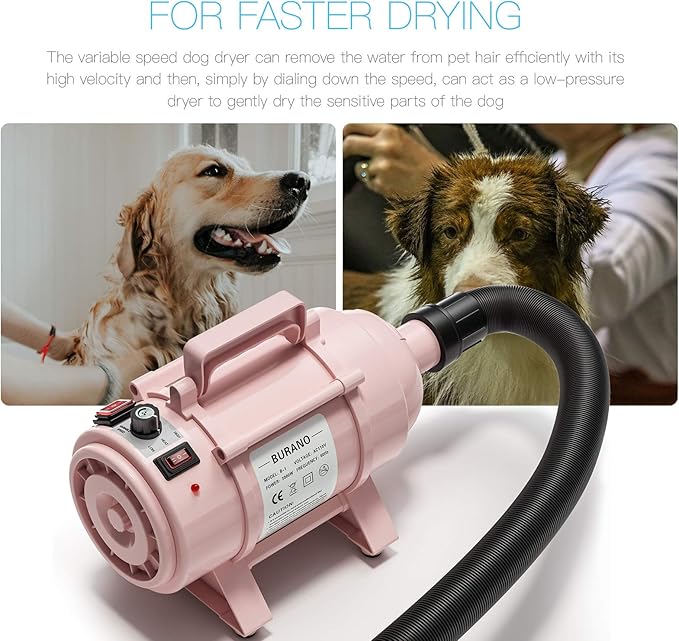 Burano Dog Dryer, High Velocity Pet Hair Dryer, 4.3HP Stepless Adjustable Speed Dog Hair Force Dryer for Dogs, Cats &amp; More, Powerful Pet Blower with Heater