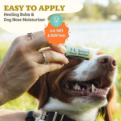 Natural Dog Company Snout Soother, Dog Nose Balm, Wax &amp; Cream for Dry, Cracked Noses, Heals &amp; Moisturizes with Shea Butter &amp; Coconut Oil, Lick-Safe Nose Butter, Made in USA, 0.15 oz. Stick
