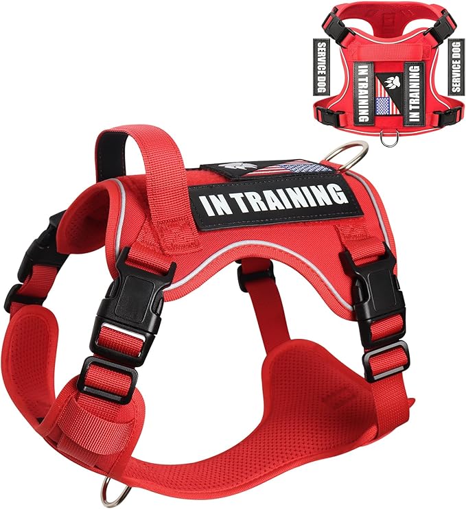 WINSEE Service Dog in Training Harness with 5 PCS Patches, Reflective Tactical Dog Vest Harness, Adjustable Soft Oxford Pet Harness with Easy Control Handle, Hook &amp; Loop Panels for Walking Hiking