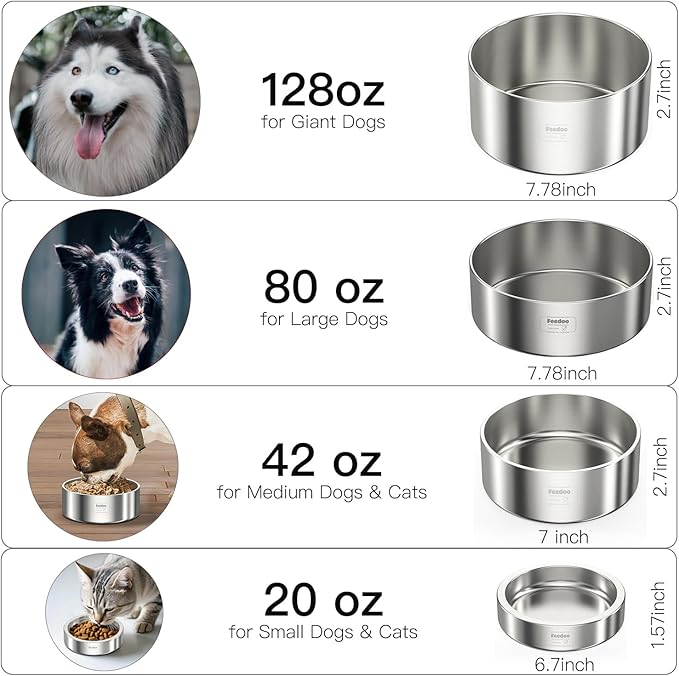 20oz Stainless Steel Cat Food &amp; Water Bowl - Double Walled 304 Stainless Steel Non-Slip Cat Dish | BPA-Free &amp; Dishwasher Safe for Indoor Cats