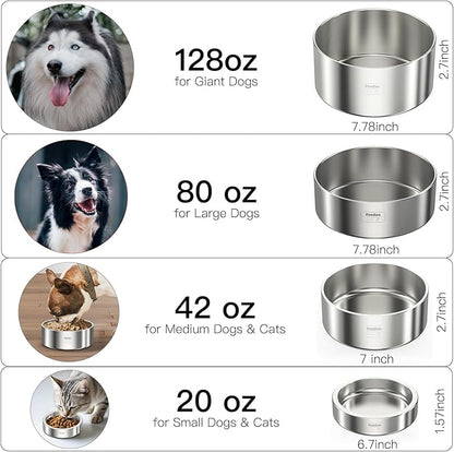 20oz Stainless Steel Cat Food &amp; Water Bowl - Double Walled 304 Stainless Steel Non-Slip Cat Dish | BPA-Free &amp; Dishwasher Safe for Indoor Cats