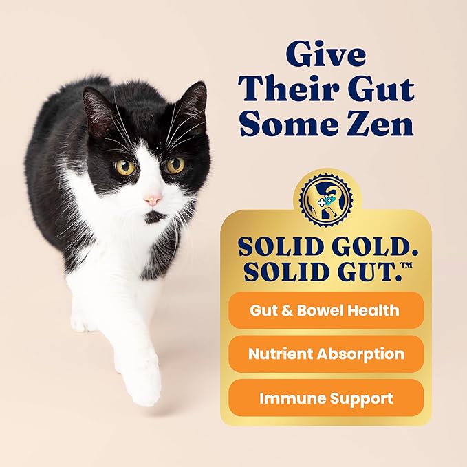 Solid Gold Indoor Dry Cat Food - Grain Free &amp; Gluten Free - Salmon Cat Food Dry Kibble for Indoor Cats w/Probiotics &amp; Fiber for Gut Health - Sensitive Stomach &amp; Hairball Support for Adult Cats - 3LB