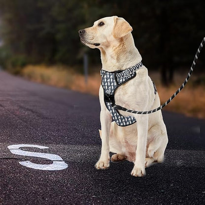 IVY&amp;LANE No Pull Dog Harness with Leash Set, Reflective No Choke Pet Vest,Adjustable Oxford Dog Vest Harness with Easy Control Handle for Large Dogs (Vintage Blue,XL)