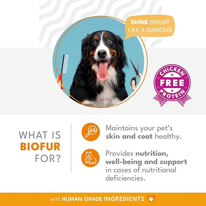 BIOFUR: Omega 3 Supplement for Cats &amp; Dogs - Puppy Essentials &amp; Dog Allergy Relief - Vitamins, Minerals for Feline &amp; Canine Skin, Coat Health, Nutrition, Well-Being, Orange