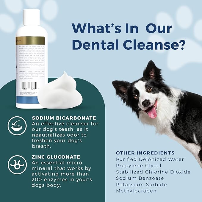 Petscy - Dental Cleanse, All-Natural Cat &amp; Dog Tartar Remover for Teeth, Cat &amp; Dog Water Additive for Dental Care, Suitable for All Ages, Breeds &amp; Sizes, 8 Oz