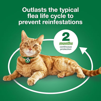 Advantage XD Small Cat Flea Prevention &amp; Treatment For Cats 1.8-9lbs. | 2-Topical Doses, 2-Months of Protection Per Dose