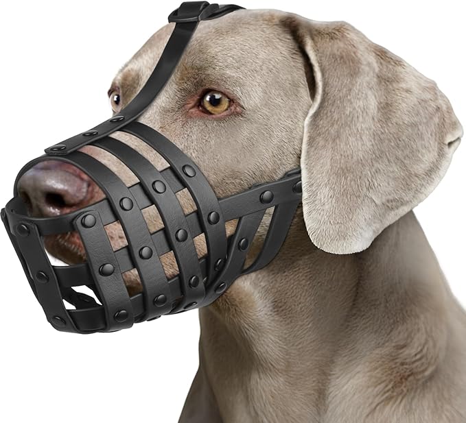 Mayerzon Dog Muzzle for Medium Large Dogs, Humane Basket Muzzle, Soft &amp; Lightweight &amp; Adjustable | Anti Biting Chewing Eating, Suits Training Walks Grooming Vet Visits, Drink &amp; Pant Easily (Black, L)