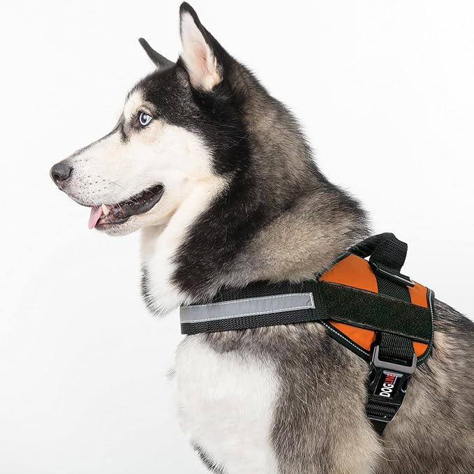 Dogline Dog Harness, Reflective No-Pull Adjustable Vest with Handle for Walking, Training, Breathable, No - Choke Harness for Small, Medium or Large Dogs Room for Patches Girth 15 to 18 in Orange