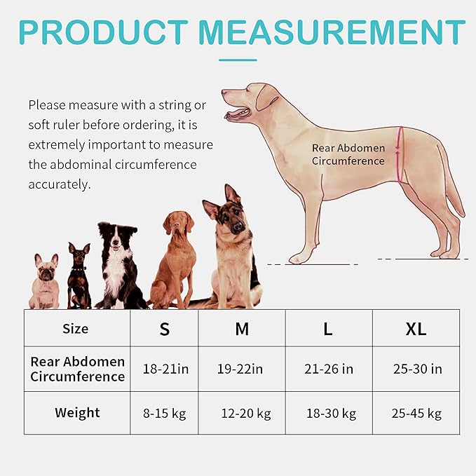 Dog Lift Harness for Small Dogs, Adjustable Rear Leg Support Sling for Hip Dysplasia, Arthritis, Weak Hind Legs, Post-Surgery Recovery, Comfortable &amp; Secure with Sturdy Buckles, S
