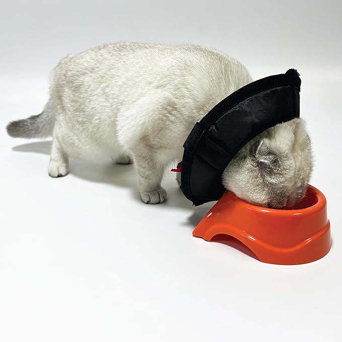 Cat Cone Collar - Soft Adjustable Cat Elizabethan Healing Collar – Lightweight Wound‑Protection Neck Cone for Licking/Biting Prevention, Fits Neck 6.5″–10.5″, Ideal Post‑Surgery &amp; Injury Care