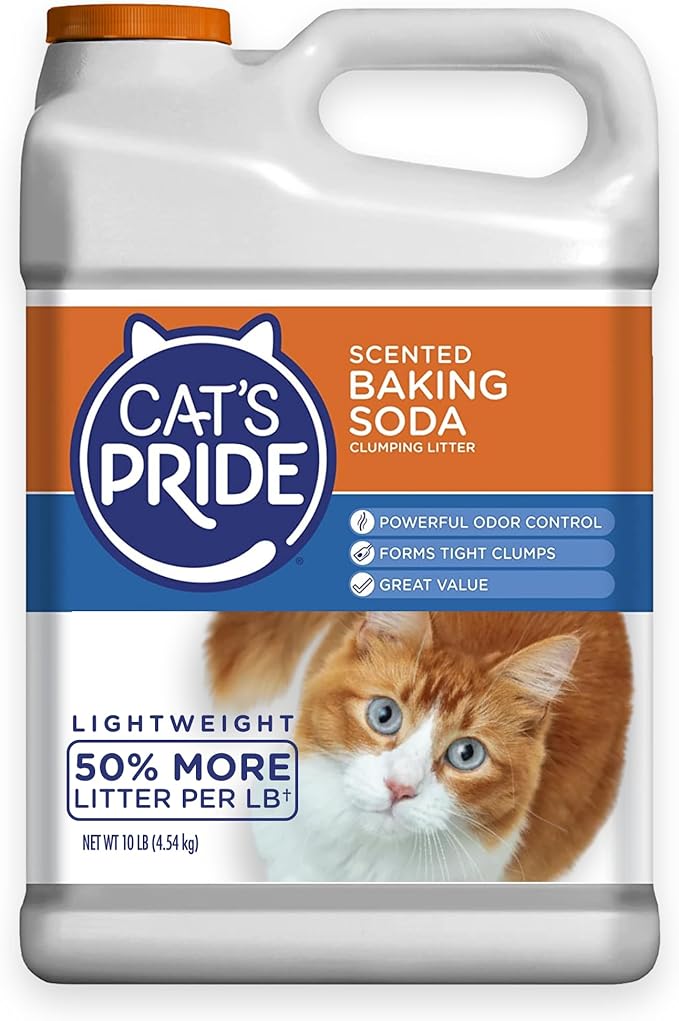 Cat&