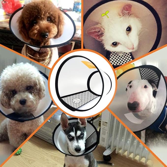 2 Pack Cat Cones to Stop Licking, Cat E Collar Pet Cone for Cats After Surgery, Pet Elizabethan Collar Dog Head Cone Recovery Cone for Most Cats &amp; Small Dogs (Size L, 5