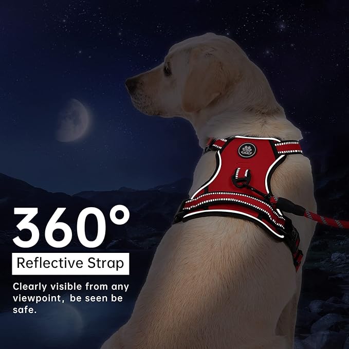 IVY&amp;LANE No Pull Dog Harness for Small Dogs, Dog Vest Harness with Leash, Safety Belt and Storage Strap, Fully Adjustable, 360° Reflective Strip, Soft Handle (Red, S)
