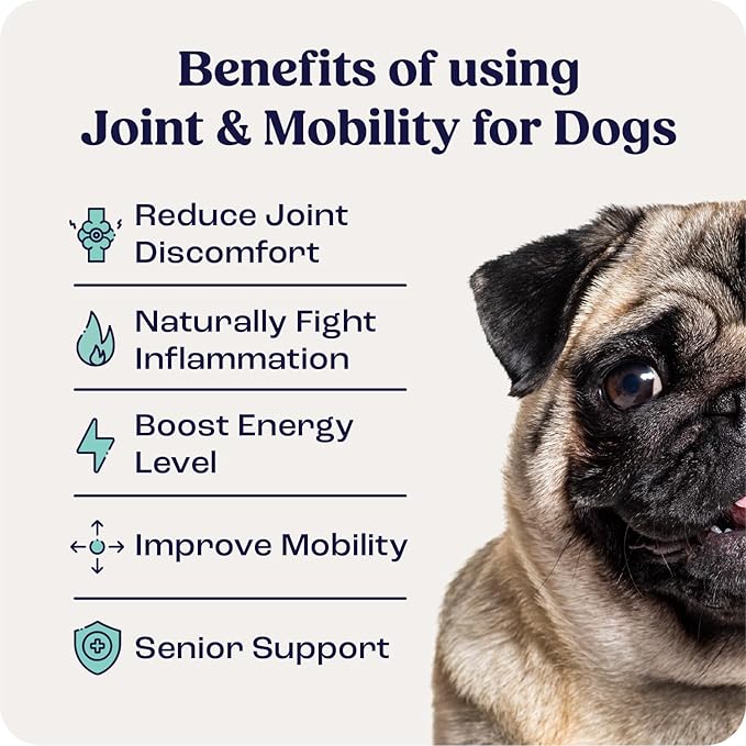 Summit Canine Joint and Mobility Supplement for Small Dogs, All Natural Liquid Chondroitin with Liposomal Delivery for Arthritis, Hip &amp; Joint Support Vitamin, (Dogs <25lbs)