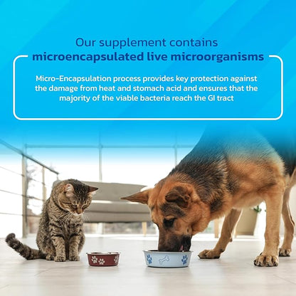 Probiotics for Dogs and Cats - Vet Formulated Pet Prebiotic &amp; Enzyme Powder for Digestive, Gut &amp; Immune Health - 1600 Servings (400 g)