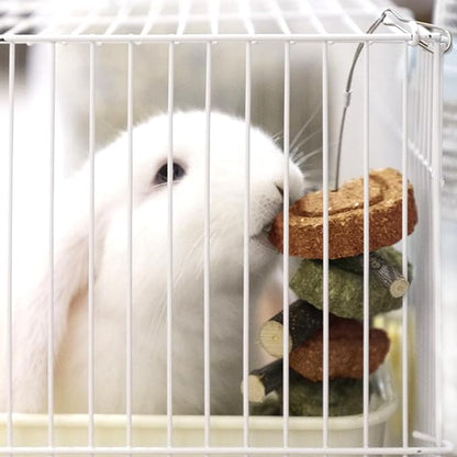 Rabbit Chew Toy,Bunny Chew Toys for Teeth Grinding,Natural Apple Branch Teething Sticks with Hay Grass Cake Improve Dental Health Bunny Hanging Chew Toys for Rabbits,Chinchillas,Hamster (4 Pcs)