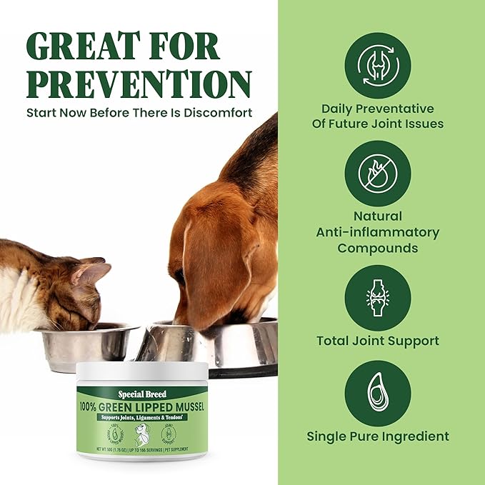 Green Lipped Mussel Powder for Dogs &amp; Cats - 100% New Zealand Green Lipped Mussels - Natural Hip &amp; Joint Supplement for Joints, Tendons, Ligaments, Muscles - 50 Grams - Up to 166 Servings