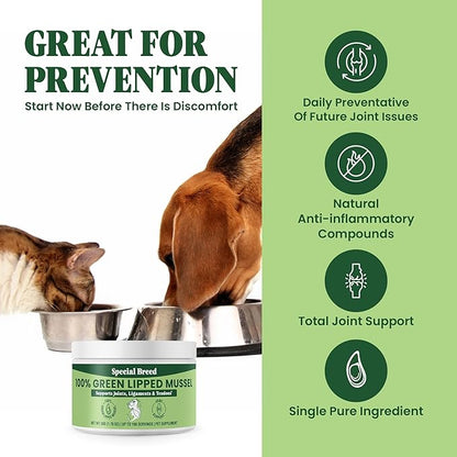 Green Lipped Mussel Powder for Dogs &amp; Cats - 100% New Zealand Green Lipped Mussels - Natural Hip &amp; Joint Supplement for Joints, Tendons, Ligaments, Muscles - 50 Grams - Up to 166 Servings