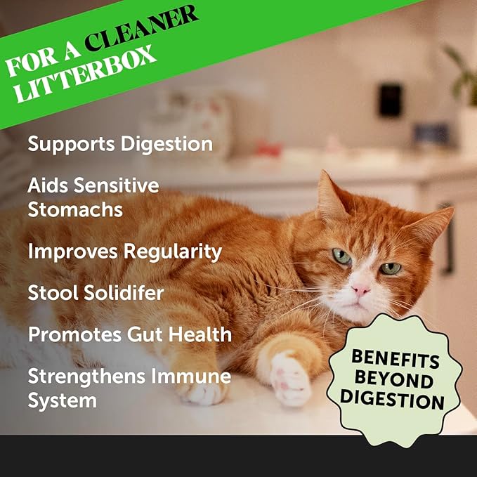 Digestive Probiotic Powder Supplement for Cats - Digestive Support + Gut Health, Probiotic for Cats, Cat Constipation Relief, Bowel Support, Immunity &amp; Overall Health - 120 Scoops