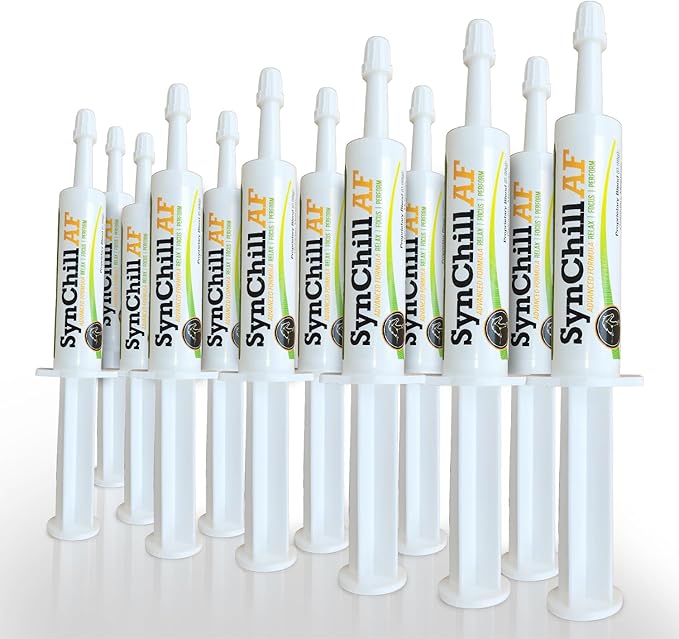 SynChill AF Calming Gel for Nervous Horses - Single Serving - Advanced Formula with L-Theanine, Increased Potency, 100% Natural Supplement, Disposition &amp; Confidence Support for Horses - 12 Pack