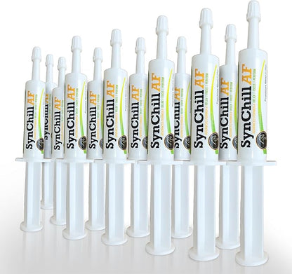SynChill AF Calming Gel for Nervous Horses - Single Serving - Advanced Formula with L-Theanine, Increased Potency, 100% Natural Supplement, Disposition &amp; Confidence Support for Horses - 12 Pack