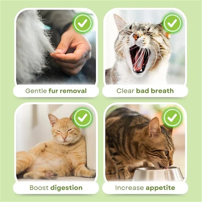Primeco Cat Grass Teething Stick, Natural Grass Molar Rod Made of Chicken &amp; Cat Grass, 6 PCS Per Bag for Cat Indoor Teeth Cleaning, Hairball Removal, Dental Care, Increase Appetite (2 pcs)