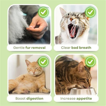 Primeco Cat Grass Teething Stick, Natural Grass Molar Rod Made of Chicken &amp; Cat Grass, 6 PCS Per Bag for Cat Indoor Teeth Cleaning, Hairball Removal, Dental Care, Increase Appetite (2 pcs)