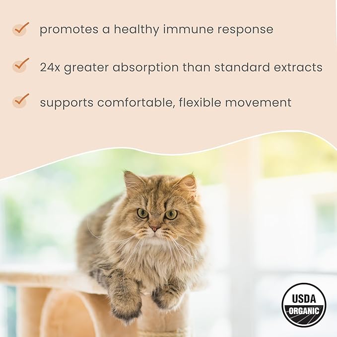 Bark &amp; Whiskers Organic Curcumin, 2.64 Oz. (75 g), 300 Scoops, Promotes Mobility &amp; Joint Health, Veterinarian Formulated, Non-GMO, Certified USDA Organic, Dr. Mercola