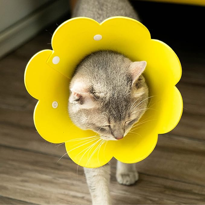3-Piece Cat Recovery Collar Set - Sunflower Neck Cat Cone Anti-Licking Collars to Prevent Biting &amp; Scratching (Pink, Orange, Yellow, S)
