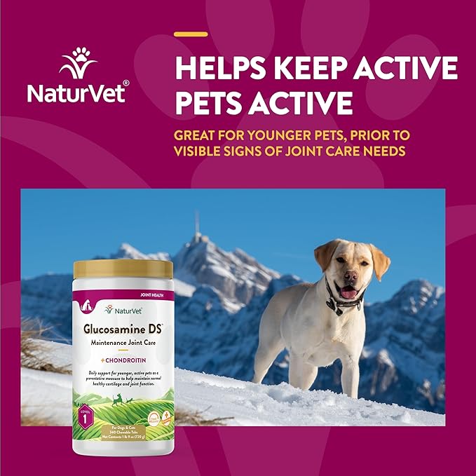 NaturVet – Glucosamine DS - Level 1 Maintenance Care | Preventative Care to Maintain Healthy Cartilage &amp; Joint Function | Enhanced with Glucosamine &amp; Chondroitin | for Dogs &amp; Cats (240 Tablets)