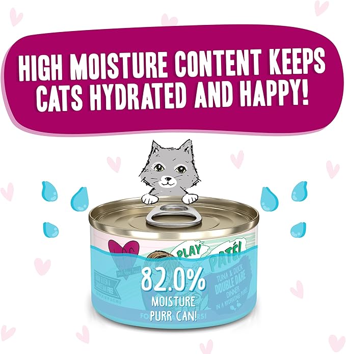 Weruva B.F.F. Play - Best Feline Friend Paté Lovers, Aw Yeah!, Tuna &amp; Duck Double Dare with Tuna &amp; Duck, 2.8oz Can (Pack of 12)