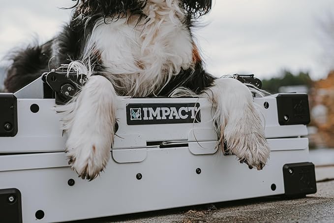 Impact Collapsible Dog Crate - Foldable Hard Crate for Large Dogs - Heavy Duty Travel Kennel with Powder-Coated Aluminum - Quick Setup for Indoor &amp; Outdoor (Black, 40" (40.5" L x 23" W x 29" H))
