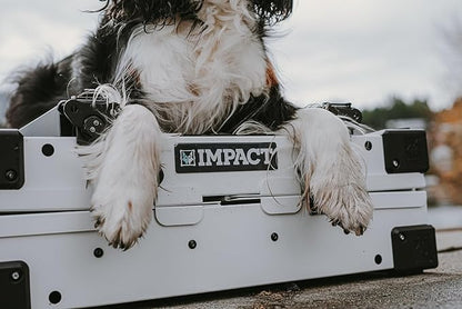 Impact Collapsible Dog Crate - Foldable Hard Crate for Large Dogs - Heavy Duty Travel Kennel with Powder-Coated Aluminum - Quick Setup for Indoor &amp; Outdoor (Black, 40" (40.5" L x 23" W x 29" H))