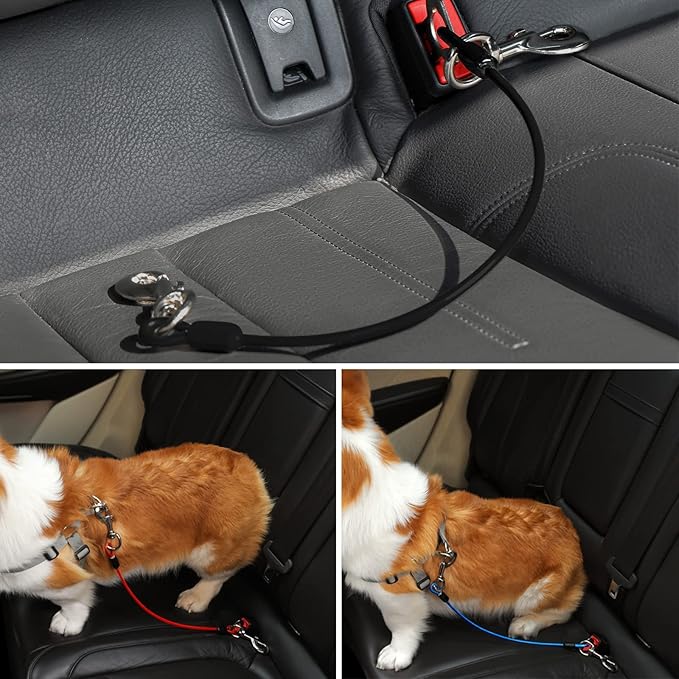 Dog Seat Belt Harness for Car,2pcs Dog Seatbelt of Coated Wire Leash Safety Restraint,No Chew Tether Cable Vehicle Dogs Accessories,Double Clips &amp; Latch (Black, 24 inch/60 CM)