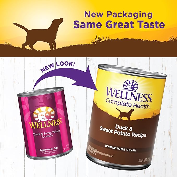Wellness Complete Health Natural Wet Canned Dog Food, Duck &amp; Sweet Potato, 12.5-Ounce Can (Pack of 12)